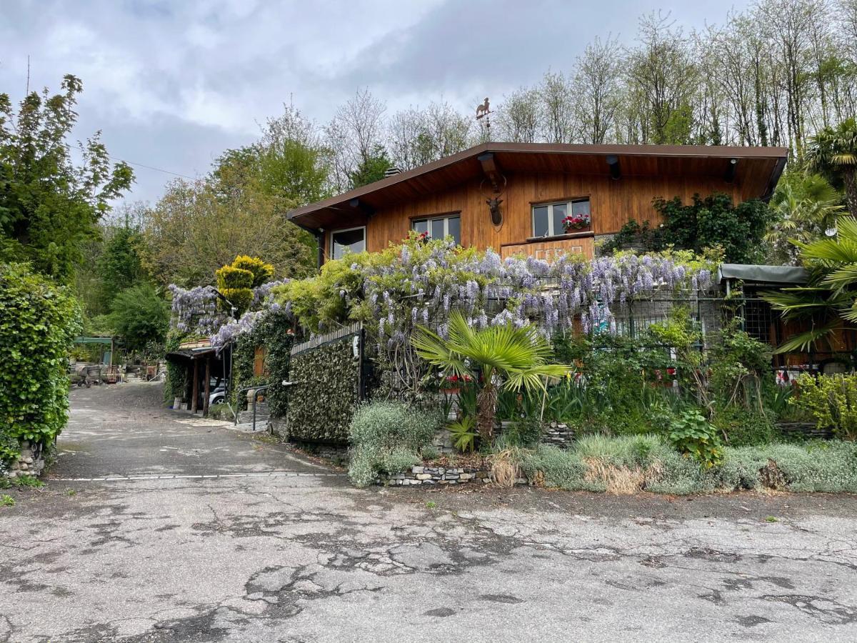 TavernerioAl Cervo Tra I Laghi住宿加早餐旅馆 外观 照片