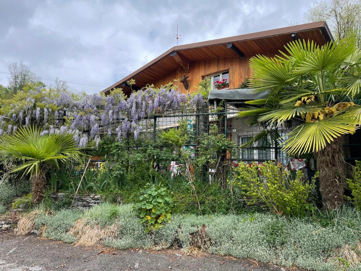 TavernerioAl Cervo Tra I Laghi住宿加早餐旅馆 外观 照片