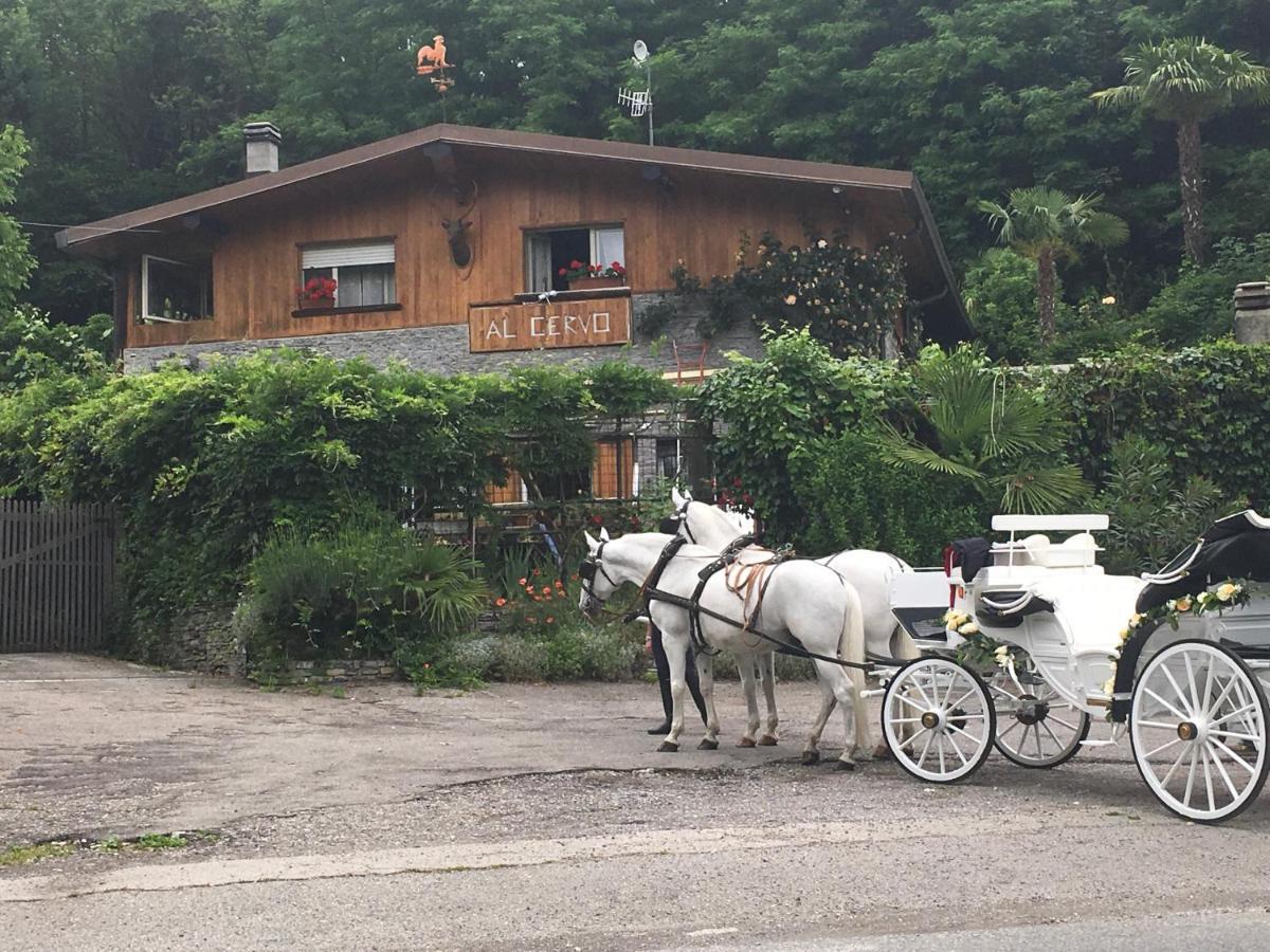 TavernerioAl Cervo Tra I Laghi住宿加早餐旅馆 外观 照片